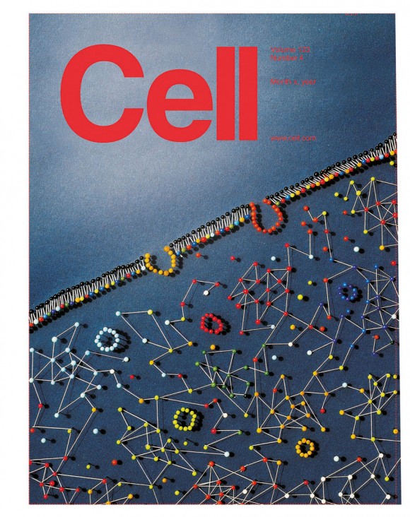 The unique map has been published by the renowned scientific journal Cell as its cover story. (picture: Lavinia Liberali and Luca Pitoni)