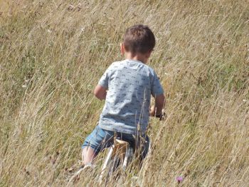 Wild cycling: a small boy enjoys the unmown areas of Saltdean Oval
