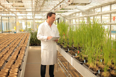 Biological technician Frederic Bach conducts greenhouse-based diagnostics tests at Bayer CropScience’s Weed Resistance Competence Center in Frankfurt, Germany.