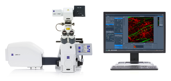 ZEISS LSM 800 with Airyscan: Your compact confocal power pack.