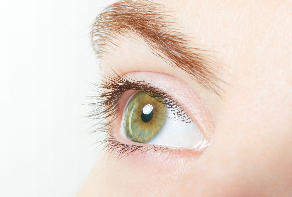Human, green healthy eye macro with white background
