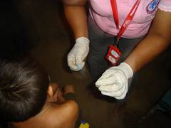 Preparation of the so-called thick blood smear for malaria diagnosis. Photo: Miguel Bolivar (CAICET, Puerto Ayacucho)