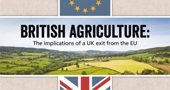 NFU commissioned LEI at Wageningen University to assess the impact of a UK exit from the EU 