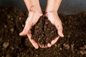 Study: World's soils could help to limit the impacts of climate change 