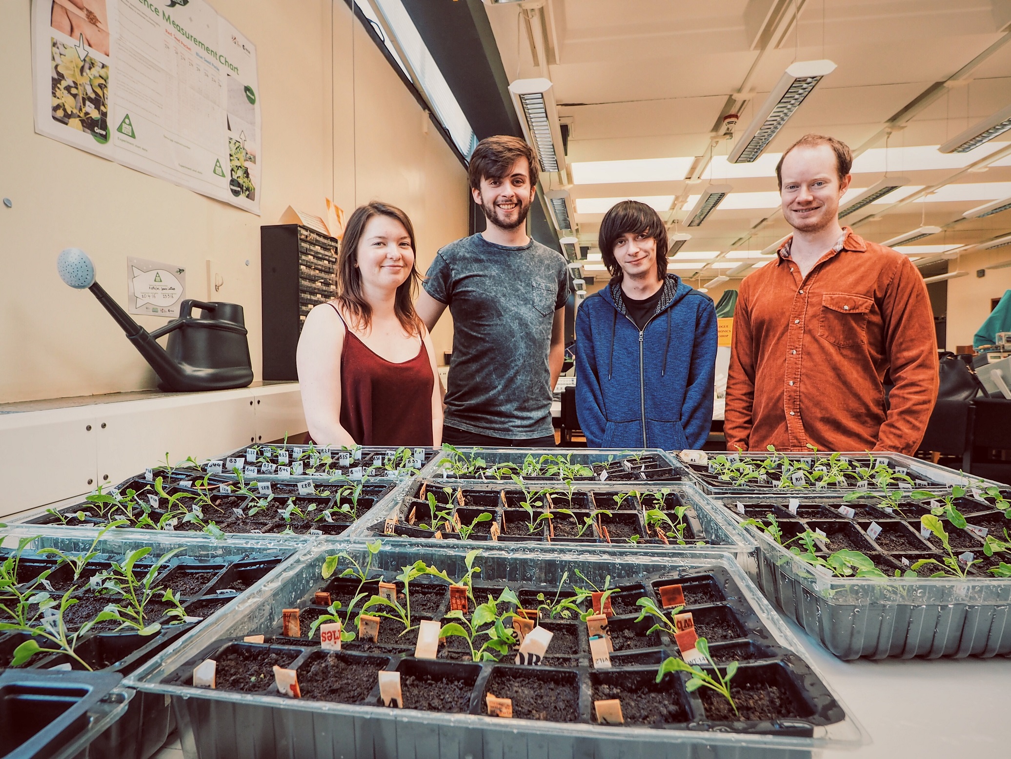 L-R – Physics students Holly Graham (2nd Year), Daniel Robson (2nd Year), Simon Howard-Clark (2nd Year) and Simon Joyce (Phd) Credit: University of Leicester