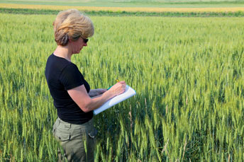 SGS adds Germany to its crop quality map service 