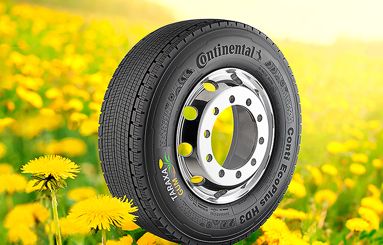 This Conti EcoPlus HD3 is the first truck tire made from dandelion rubber and delivers the same performance as a tire made from natural rubber obtained from conventional sources. Photo: Continental