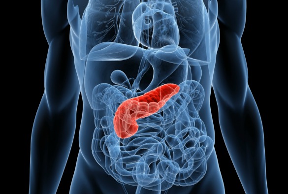 University of Liverpool identifies the mechanism causing resistance of pancreatic cancer cells to chemotherapy 