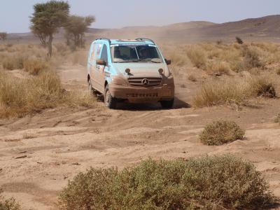 Mercedes-Benz Vans starts with two Sprinter 4x4 and two Vito 4x4 at the Rallye Aïcha des Gazelles 2013. Date: Mar 19, 2013