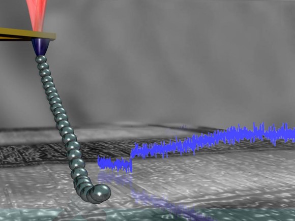 A polymer chain tied to the tip of an atomic force microscope - Image: B. Balzer/TUM