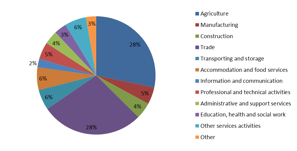 Sector distribution of microenterprises financed under the European Progress Microfinance Facility