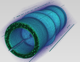 A three-dimensional depiction of the spatial variation of the optical electromagnetic field around a microantenna following excitation with terahertz pulse. The optical field is mapped with the aid of electron pulses. Illustration: Peter Baum