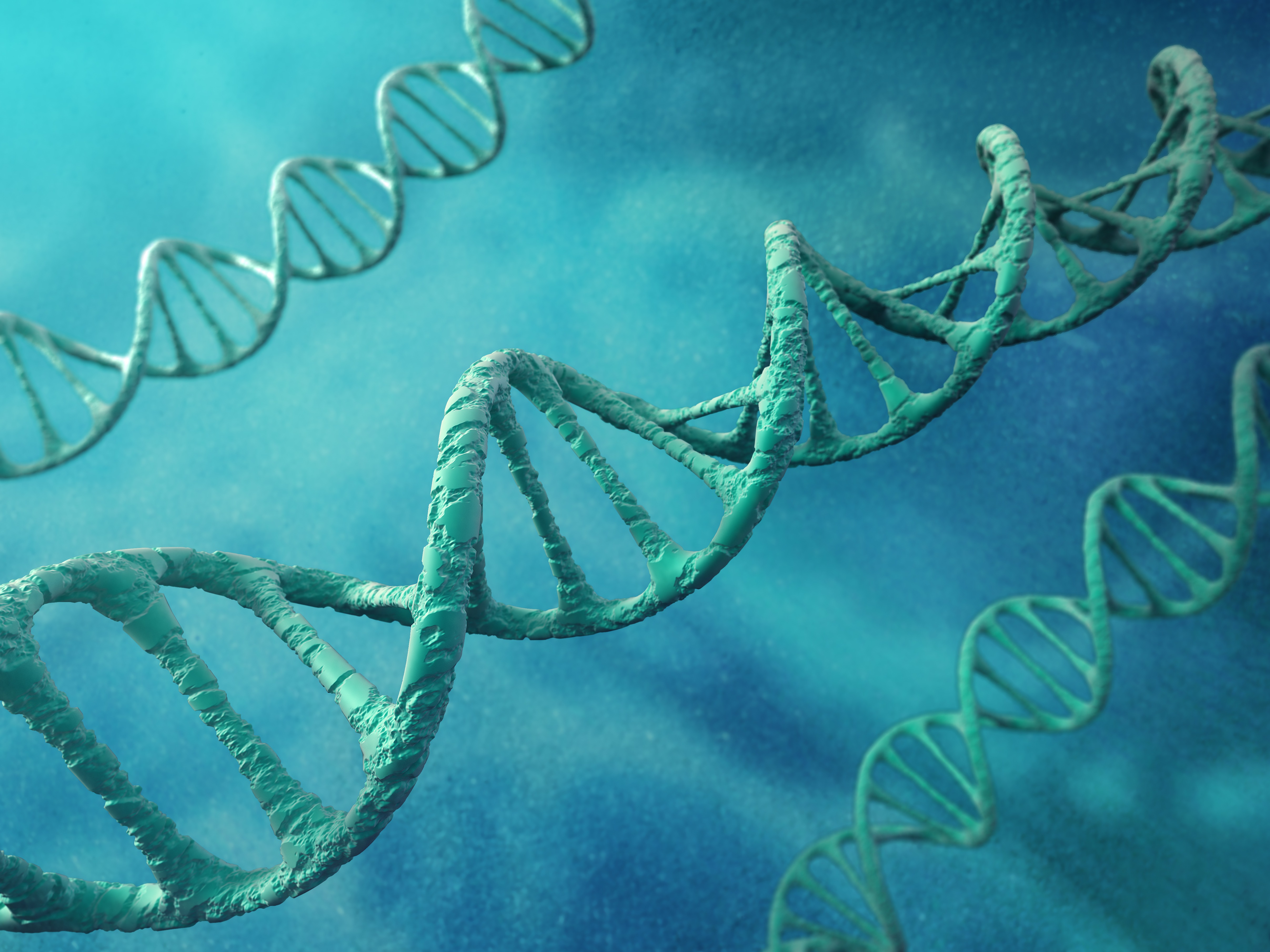 TU Delft: Tutkijat loivat keinotekoisen DNA-suunnitelman DNA:n replikaatiosta solumaisessa rakenteessa | EuropaWire.eu | Euroopan unionin lehdistötiedotteiden jakelu ja uutispalvelu