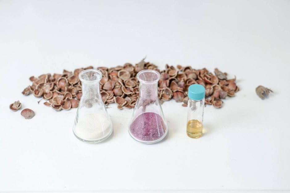 Barry Callebaut partners with Bloom Biorenewables to explore potential