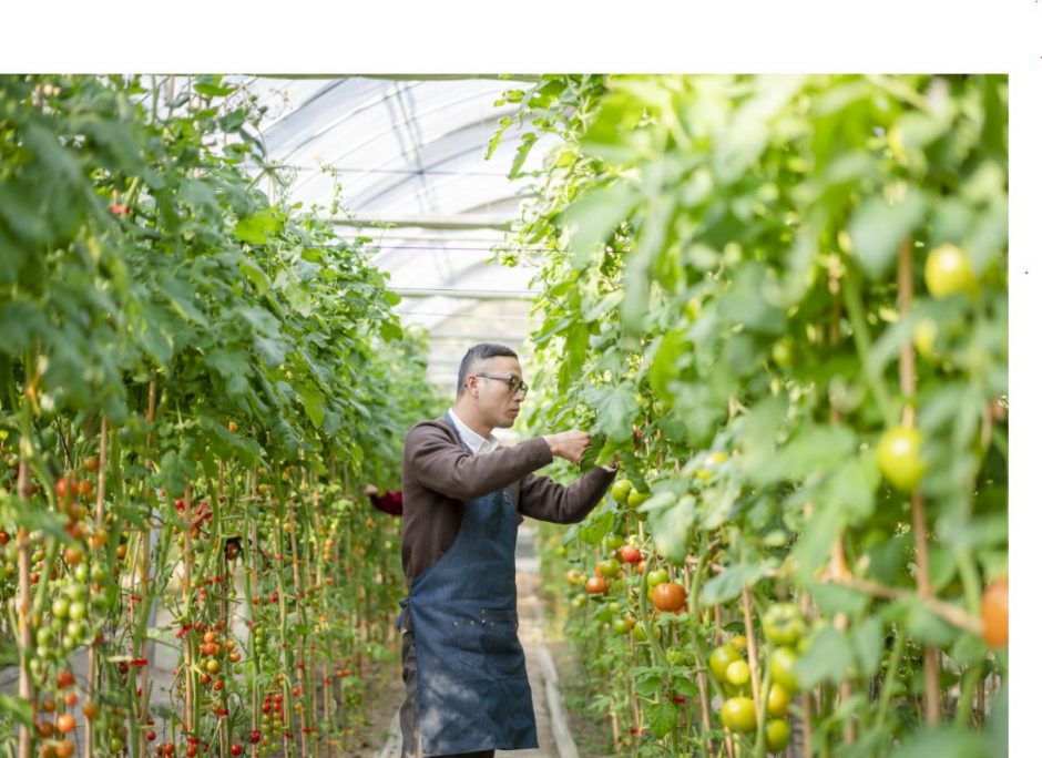 #EarthDayImpact: Schroders employees to collectively ...