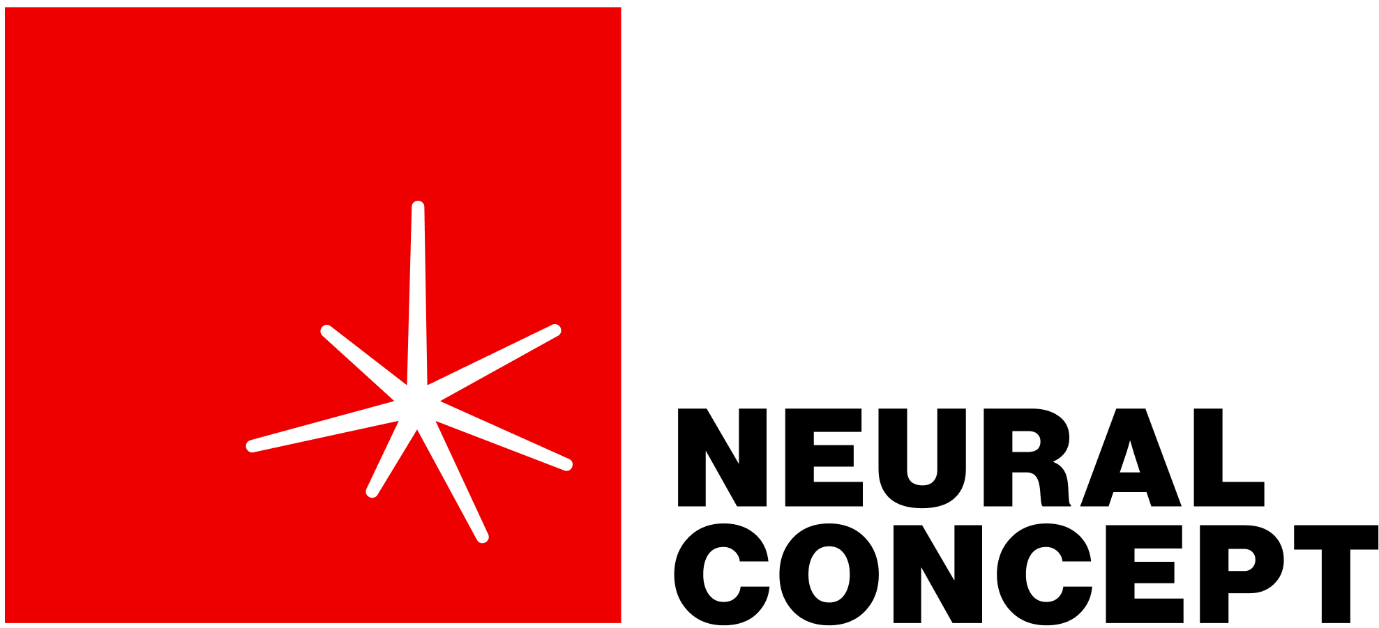 Neural Concept Logo