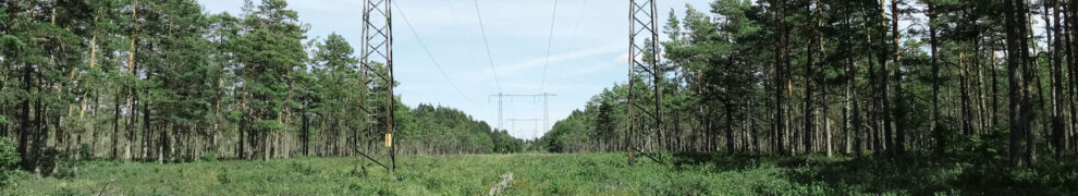 From Power Lines to Biodiversity Hotspots: Vattenfall's Commitment to Conservation
