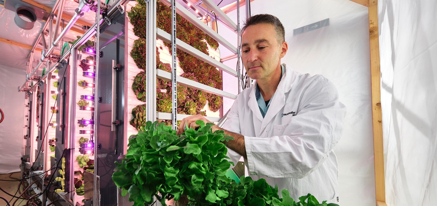 Fraunhofer Institutes Launch FutureProteins Project to Develop Climate-Independent Protein Production Systems 3 ime ivv future proteins bild 2