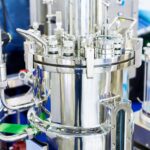 Netherlands Strengthens Global Leadership in Sustainable Protein with New Funding for Cultivated Meat and Fermentation Research